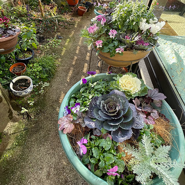 buchiさんの部屋