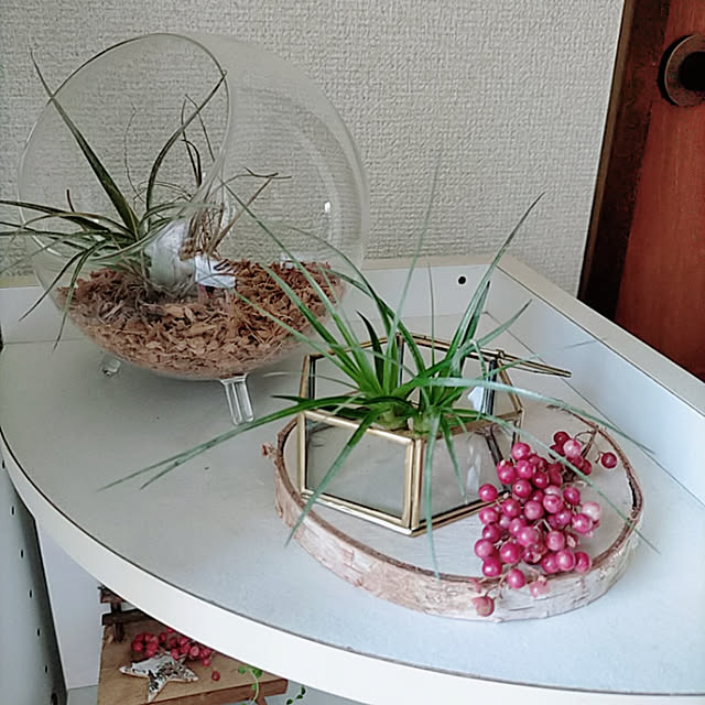 ukiukiさんの実例写真