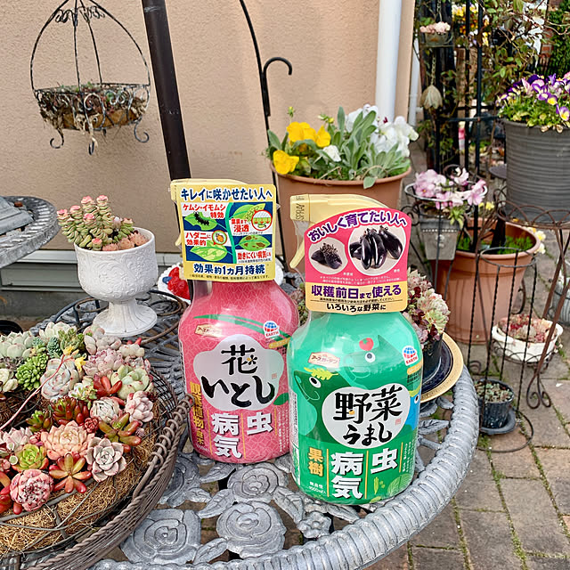 Momoさんの実例写真