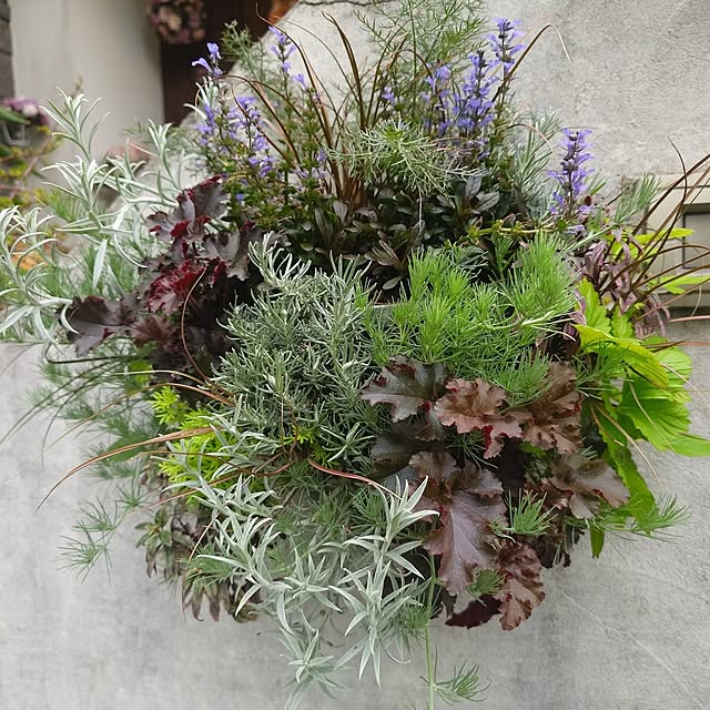 masayoさんの部屋