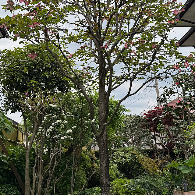 mamizaさんの部屋