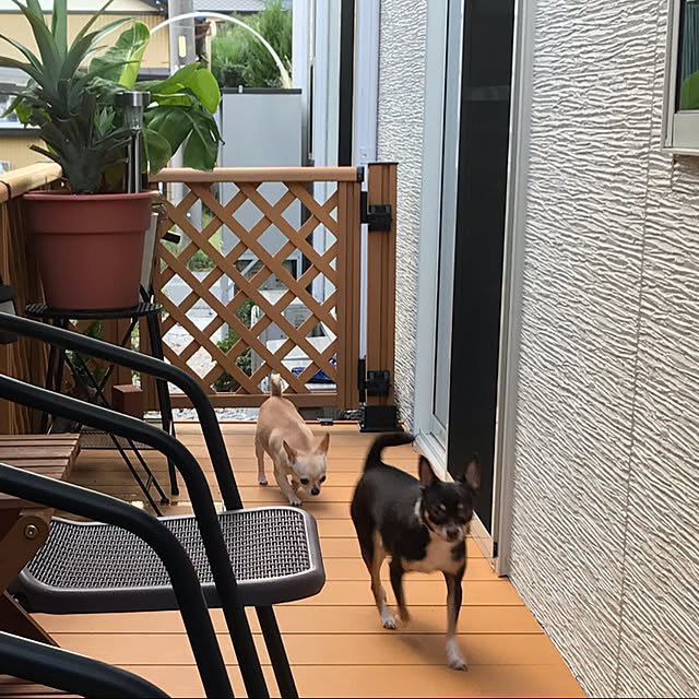 nacchintunnさんの実例写真