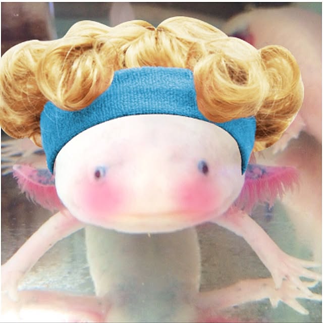 HappyRoseさんの実例写真