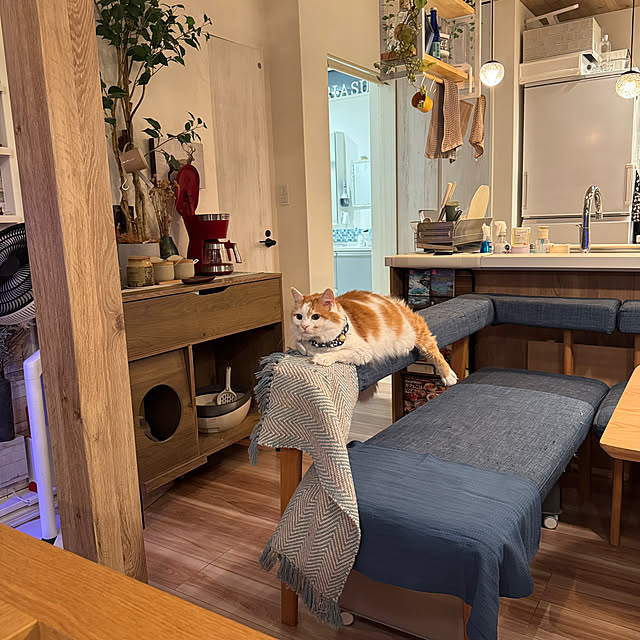 yutaさんの部屋