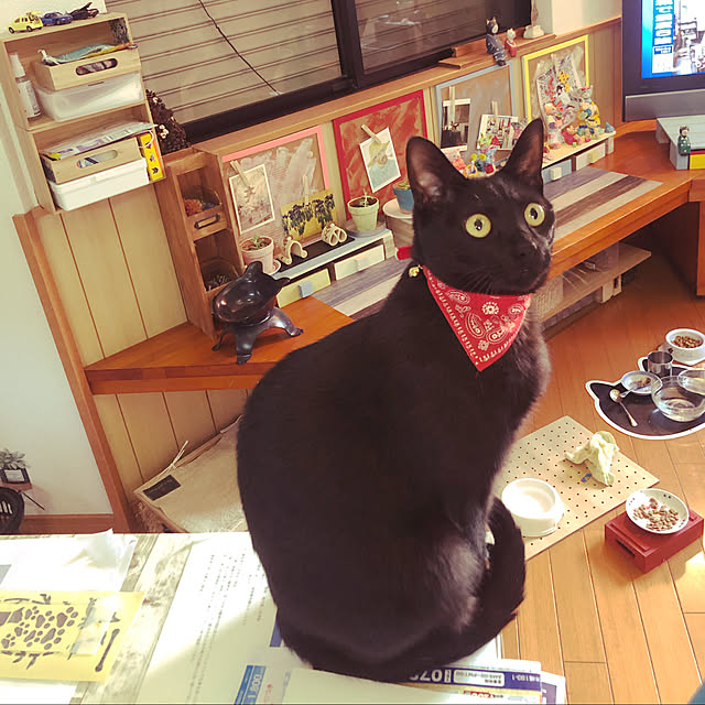 jijiさんの実例写真