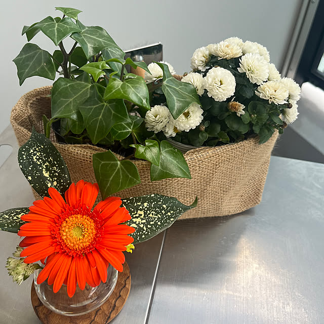 mamamaさんの部屋