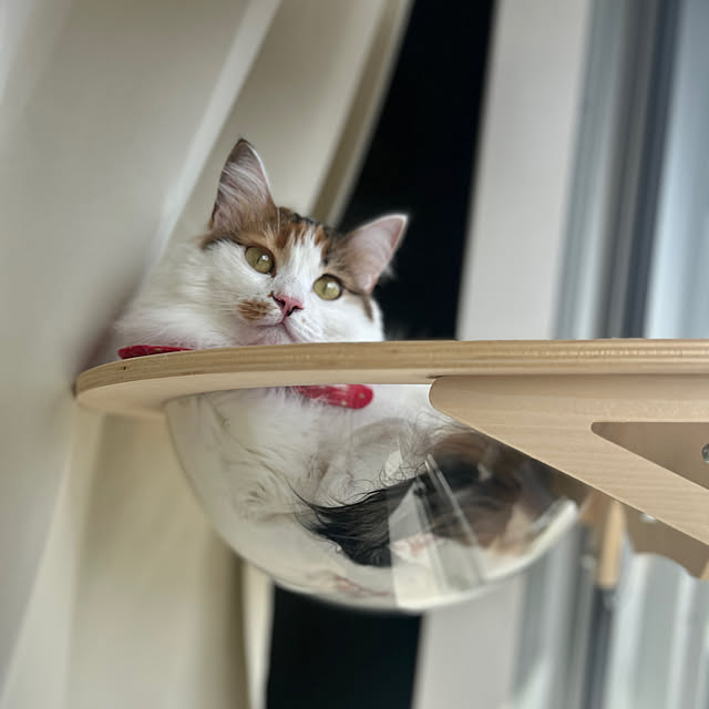Akiさんの部屋