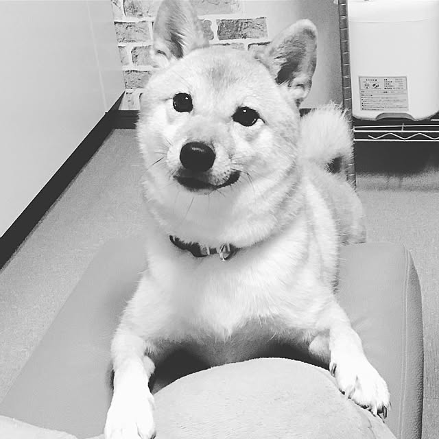 toi114さんの実例写真