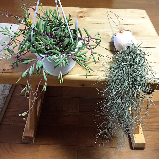 moririnさんの実例写真