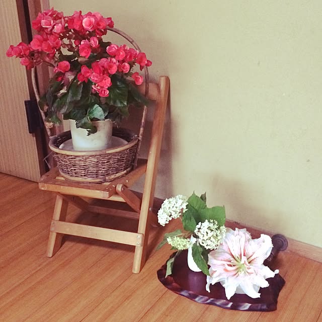 玄関/入り口/植物のインテリア実例 - 2015-06-10 19:36:42