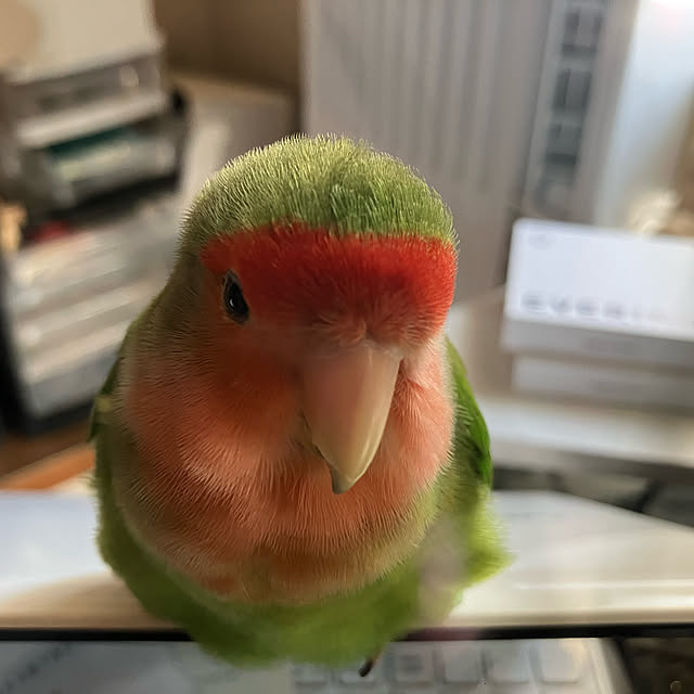 t.and.sakuraさんの実例写真