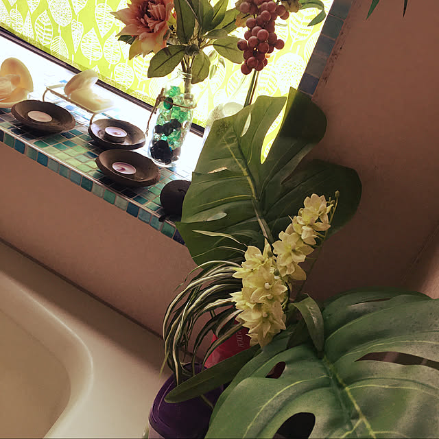 alohabaabaさんの実例写真