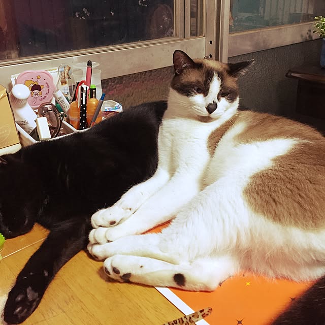 vivienne.coco-keiさんの実例写真