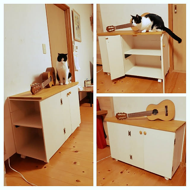 kazumiさんの実例写真