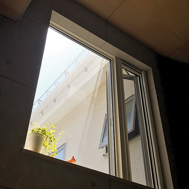 piyonさんの実例写真