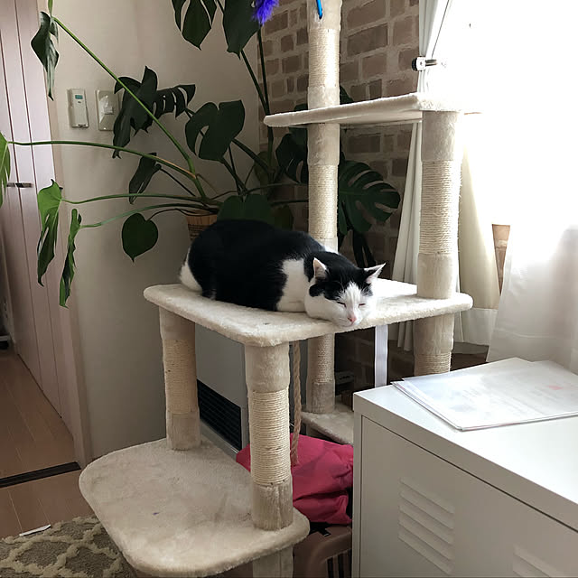 k.Iさんの実例写真