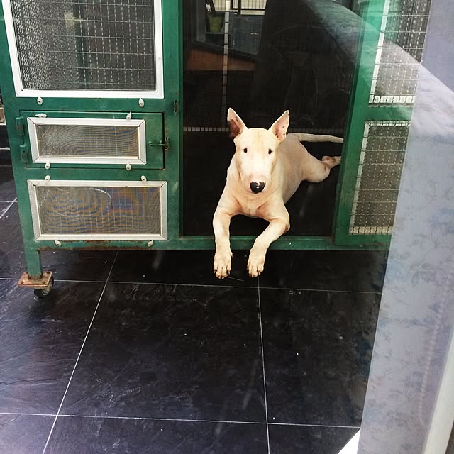 Thammaratさんの実例写真