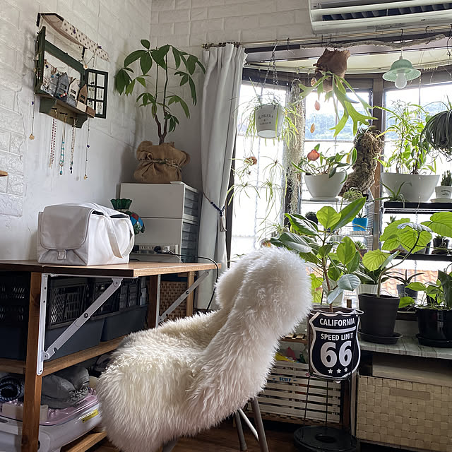 dainaoreiさんの実例写真