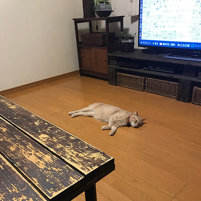 mikan161さんの実例写真