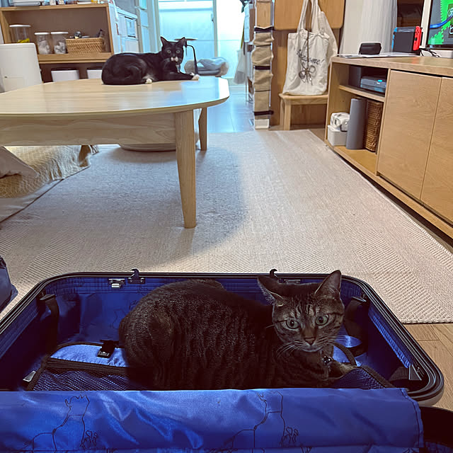 masamasaさんの実例写真
