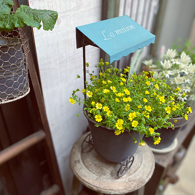 Kuniさんの実例写真