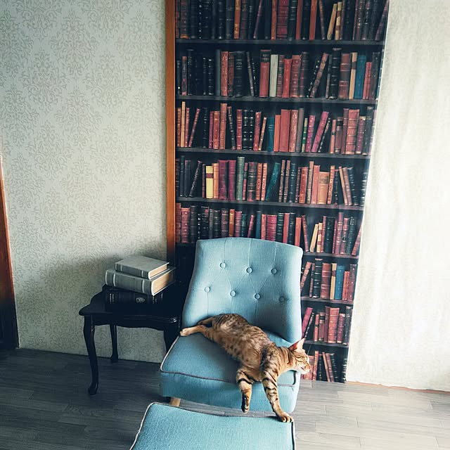 Rabbitさんの実例写真