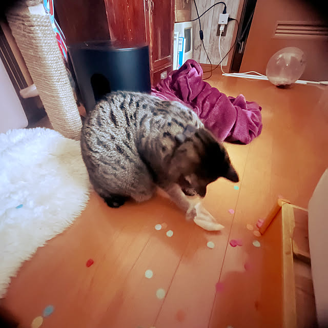 Mさんの実例写真