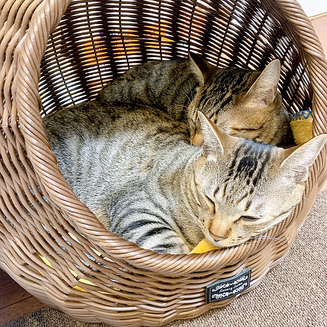 marimomomaronさんの実例写真
