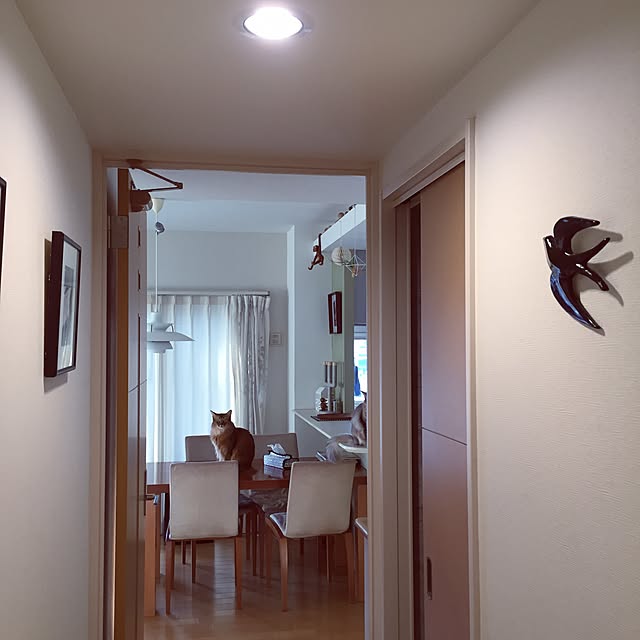 shihoさんの実例写真