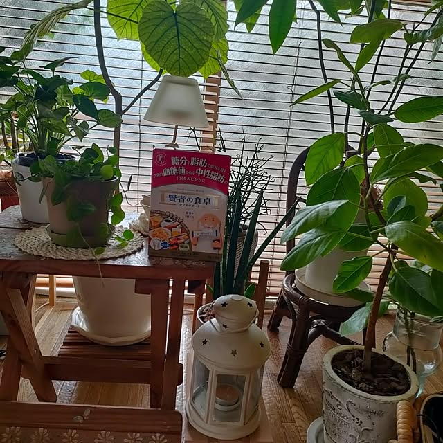 heathcliffさんの実例写真