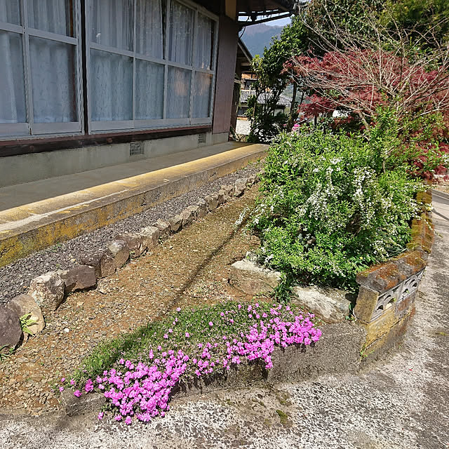 norikuuさんの実例写真