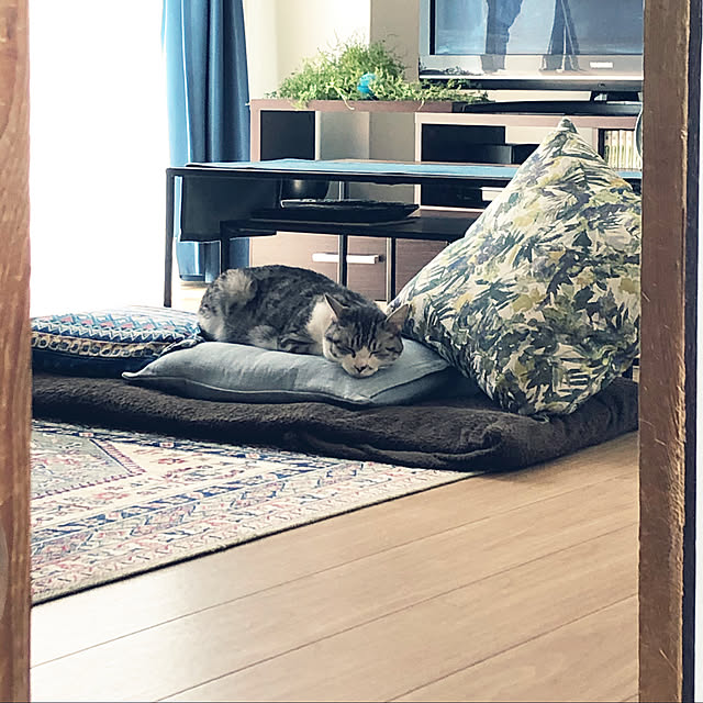 nekosikaさんの実例写真