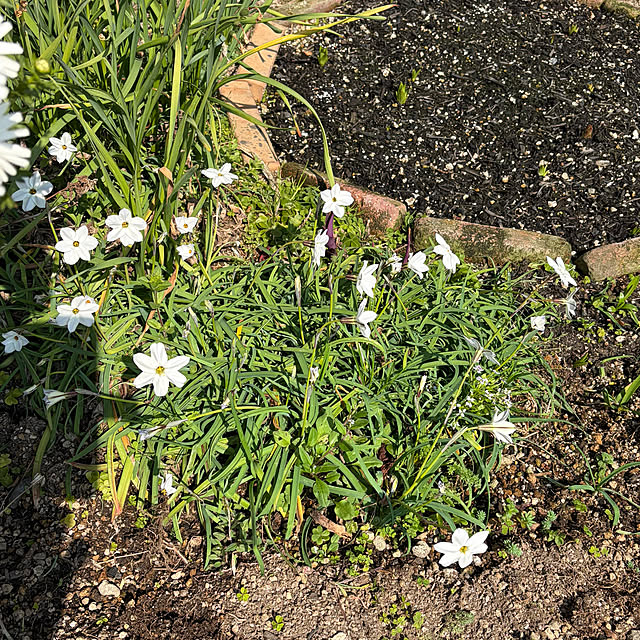 ritsukoさんの部屋