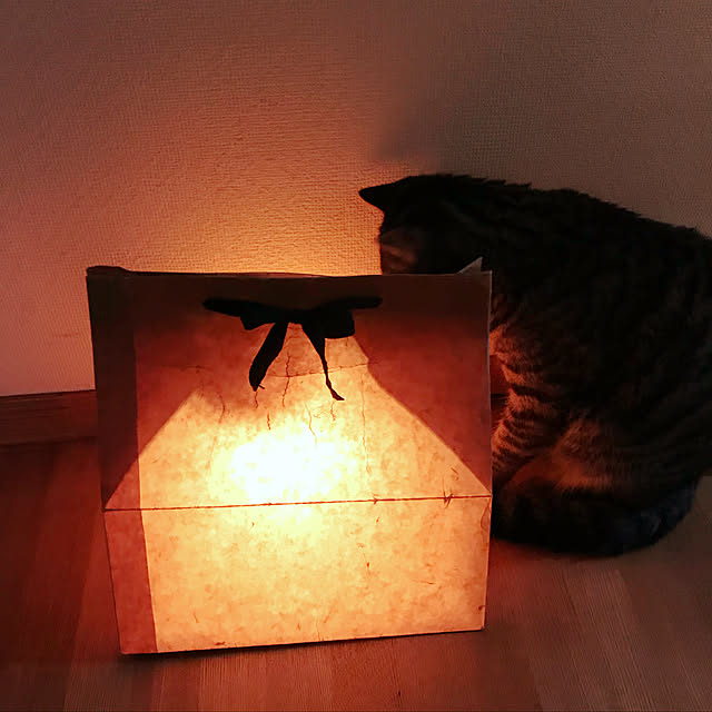 ako_a_kikoさんの実例写真