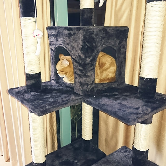 nekomajinさんの実例写真