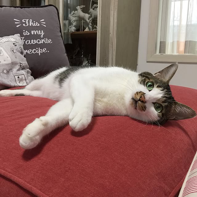 yuchiさんの実例写真