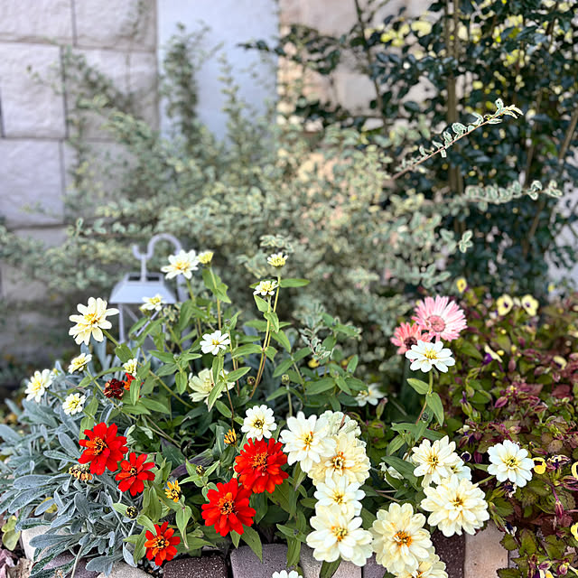 miyu39さんの部屋