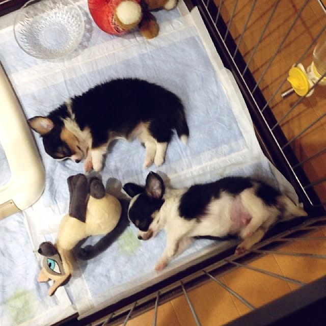 na.naさんの実例写真
