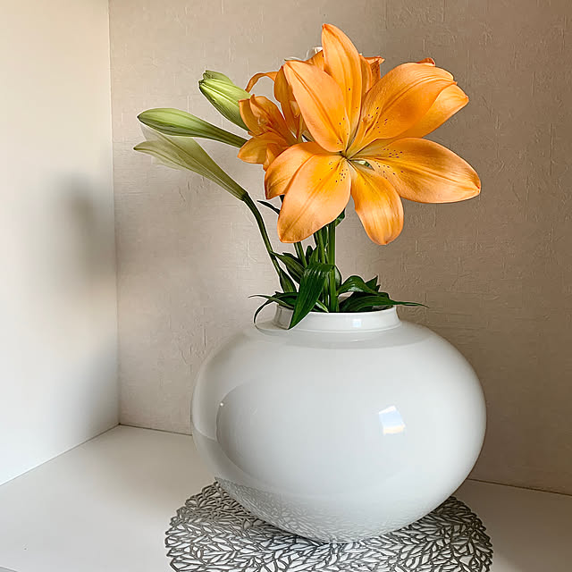 koko_hikaさんの部屋