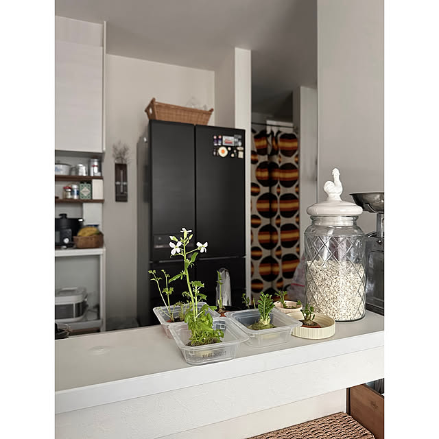 nono.0129さんの実例写真