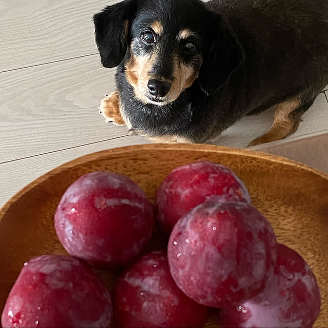 ohanaさんの実例写真