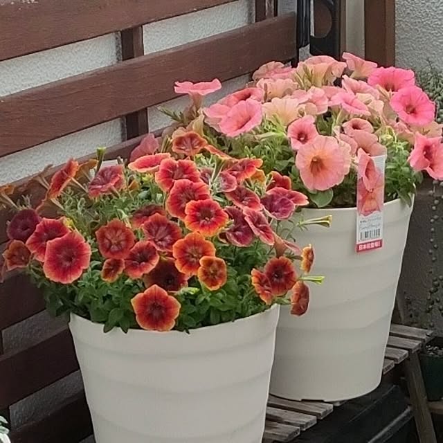 VERANDARJUNさんの実例写真