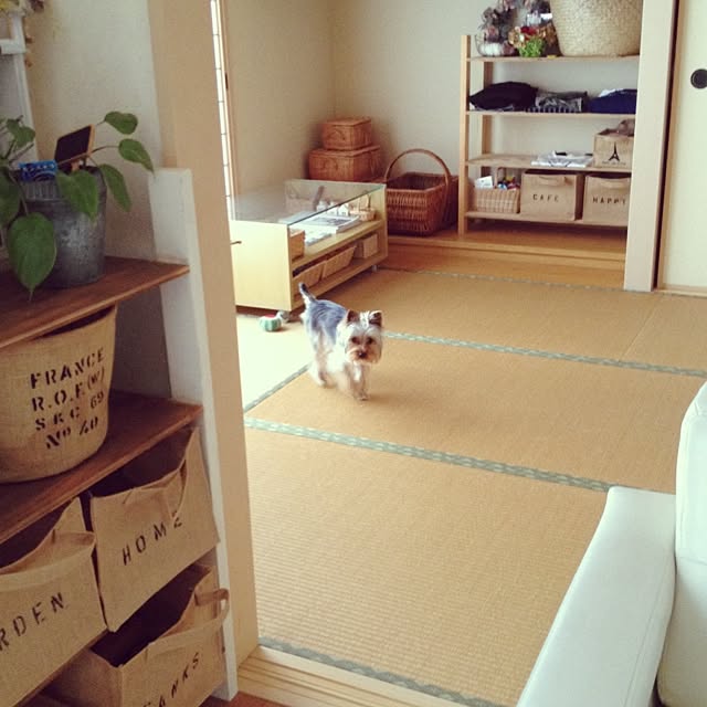 mayuoさんの実例写真