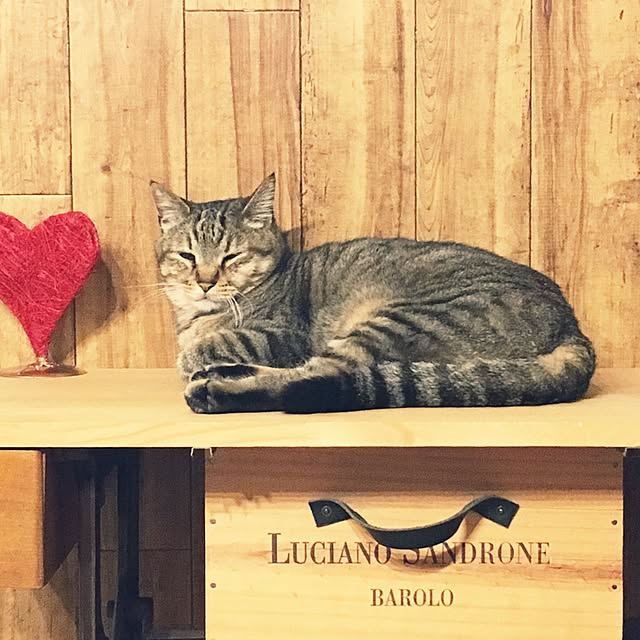 Miechamさんの実例写真