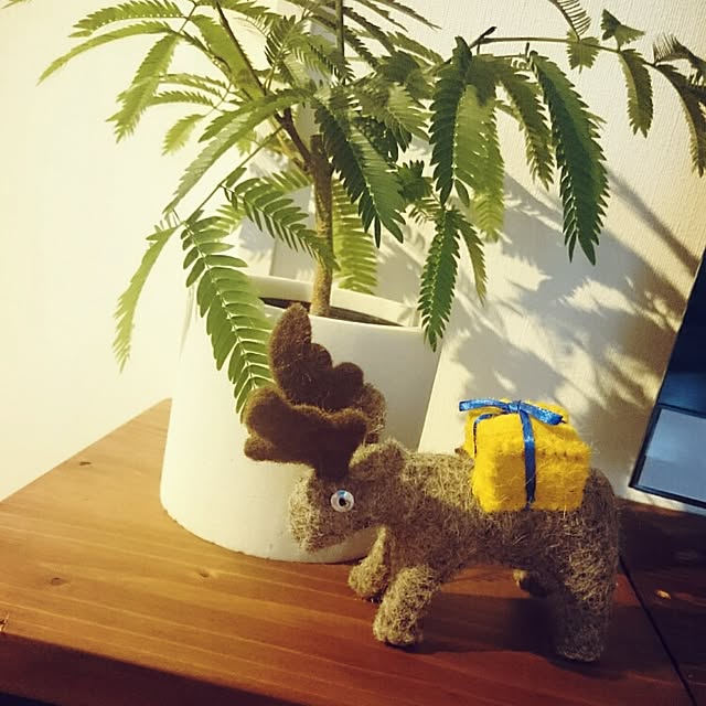 Jcさんの実例写真