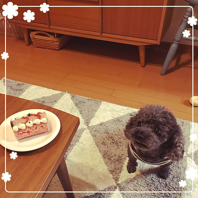 makkoさんの実例写真