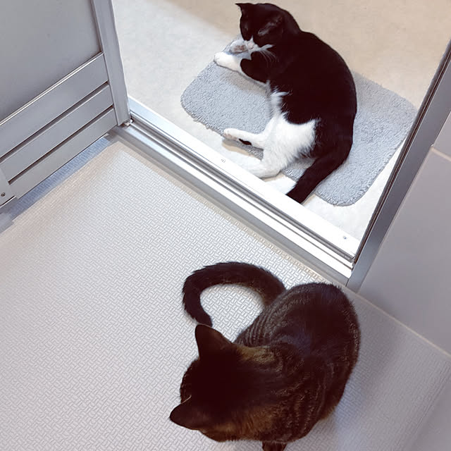 hihaさんの実例写真