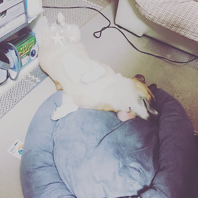 EMIさんの実例写真