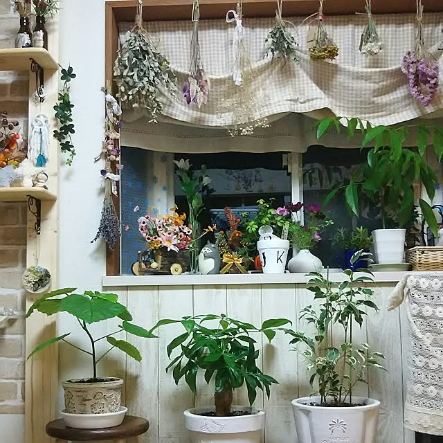 naopyiさんの実例写真