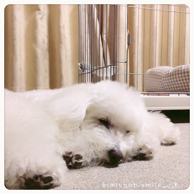 kimichan.smileさんの実例写真